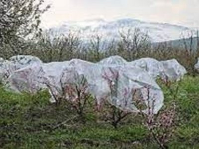 خسارت ۴۵ هزار میلیارد ریالی حوادث جوی به بخش کشاورزی